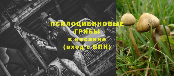 соль ск Ладушкин